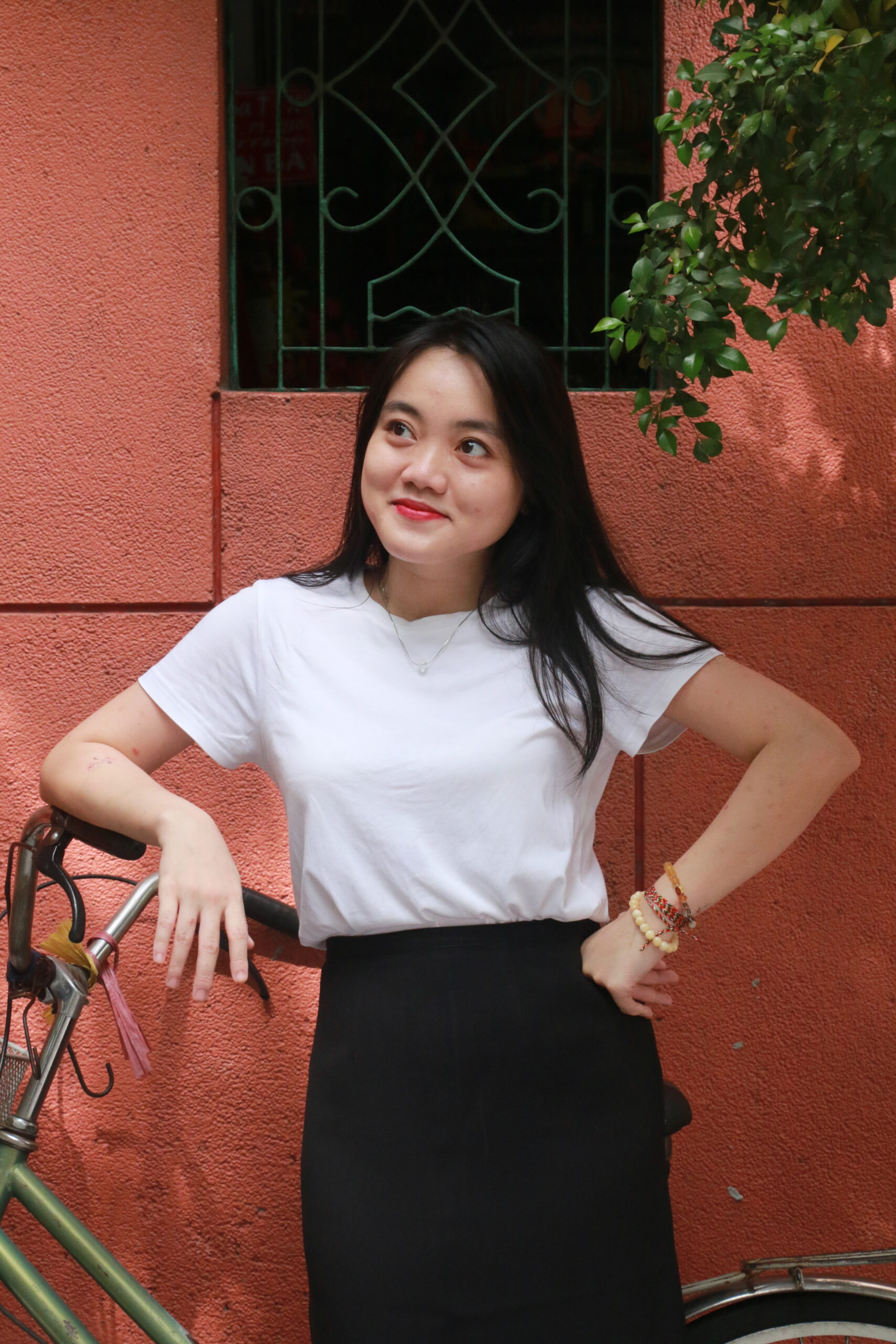 Han Le