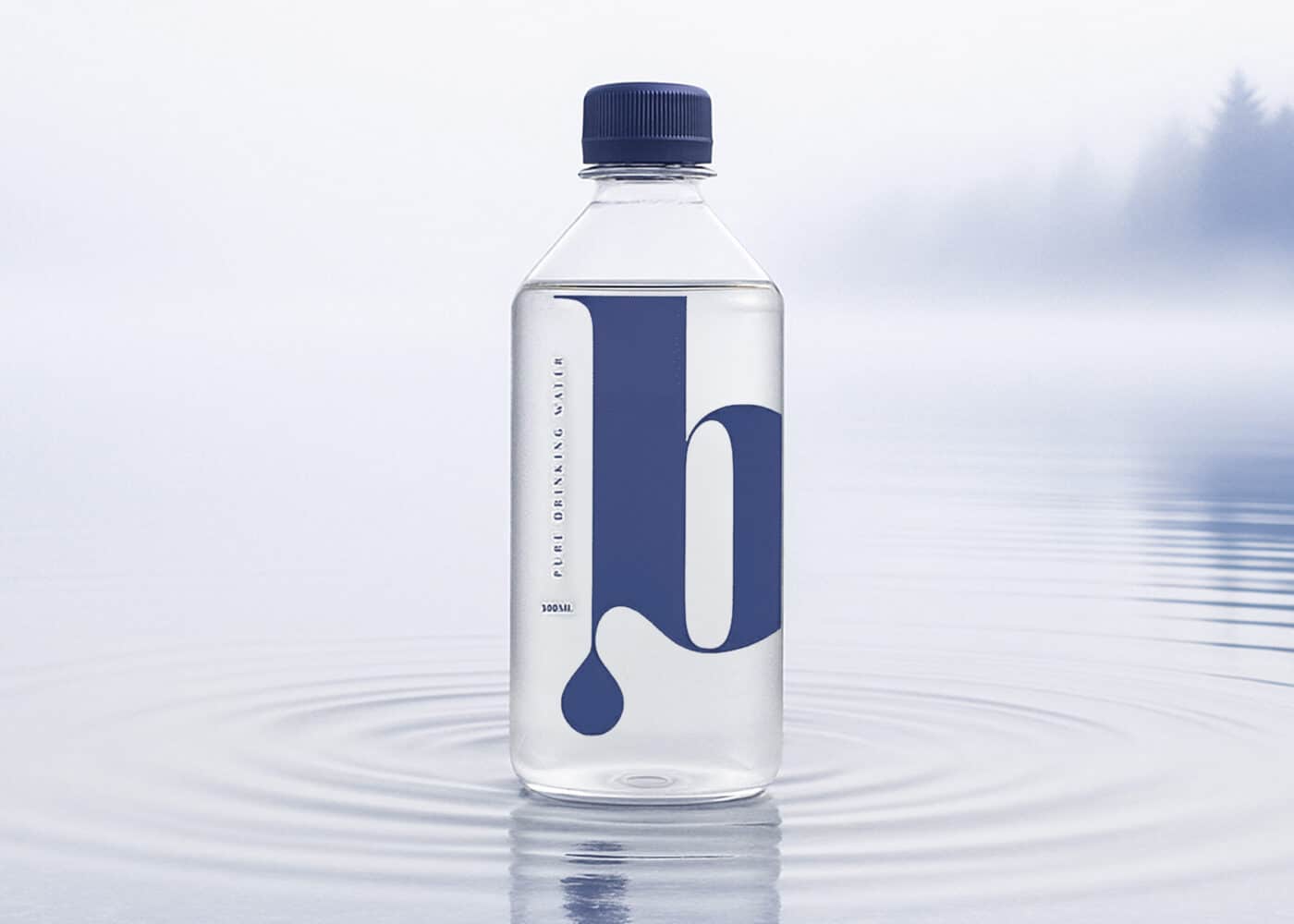 Creating a Sustainable Packaging Roadmap to Enhance Consumer Desire