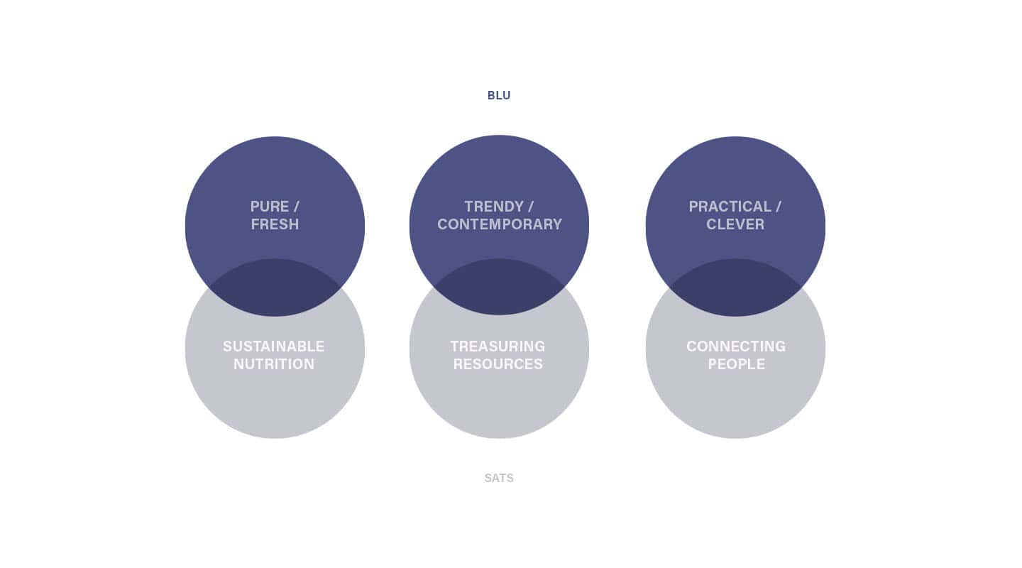 Visual strategy diagram that shows Blu brand identity with sustainability core values regarding nutrition, resource and people.