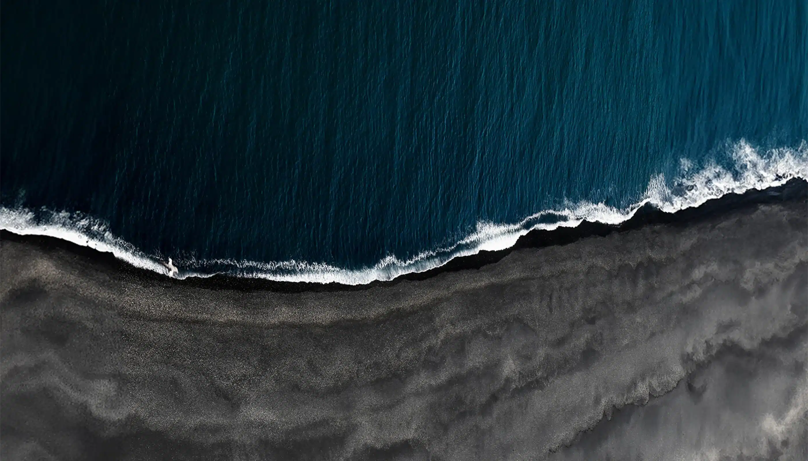 Developing a Sustainability Strategy and Amplifying Shared Value Creation