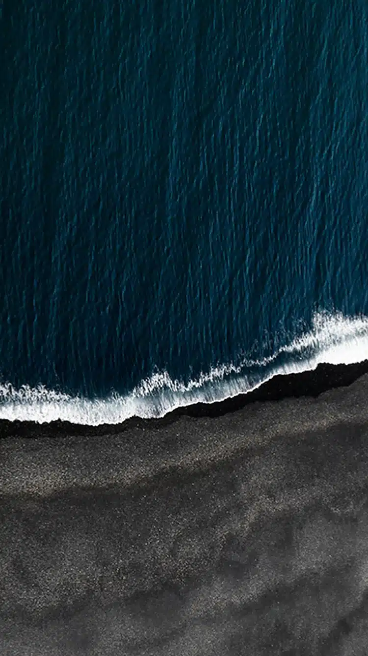 Developing a Sustainability Strategy and Amplifying Shared Value Creation