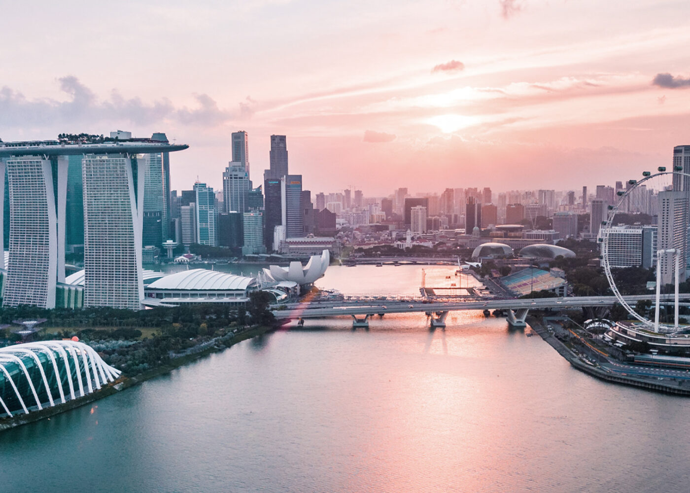 Championing Sustainability